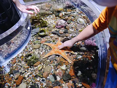 gulf specimen marine lab