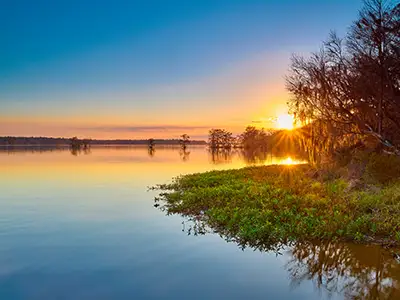 lake talquin state forest