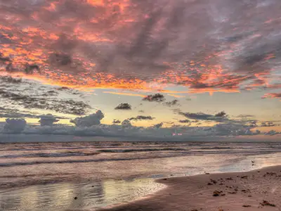 shell point beach