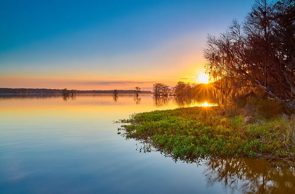 Ochlockonee River State Park 